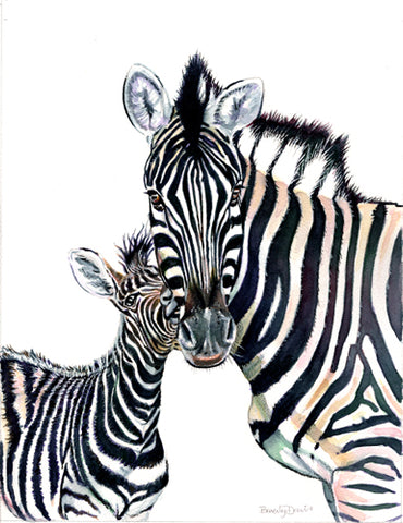 Zebra Kisses Print