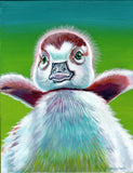 Greeting Cards - Bellingham Veterinary