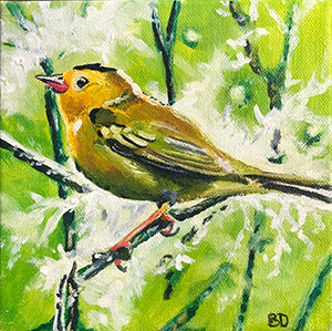 Original Acrylic Painting "Wilson's Warbler"