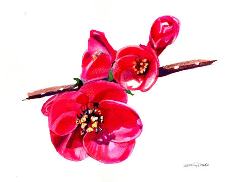Japanese Quince Print