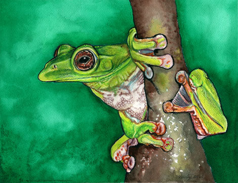 Tree Frog Print